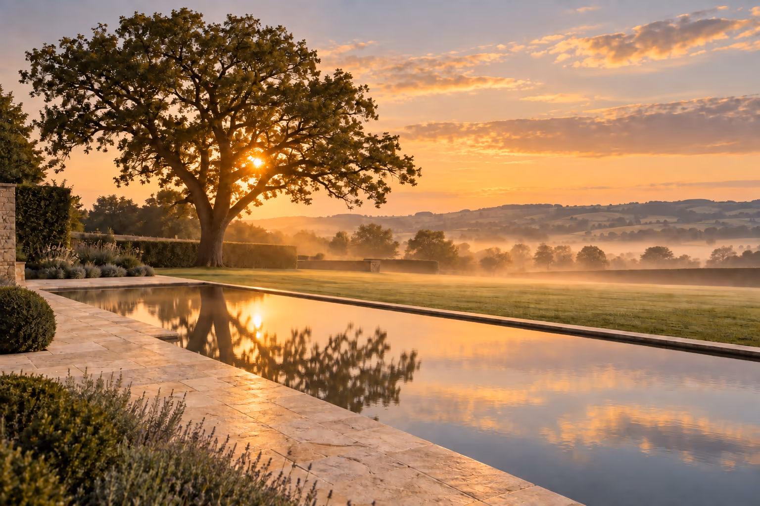 Oak garden at sunrise