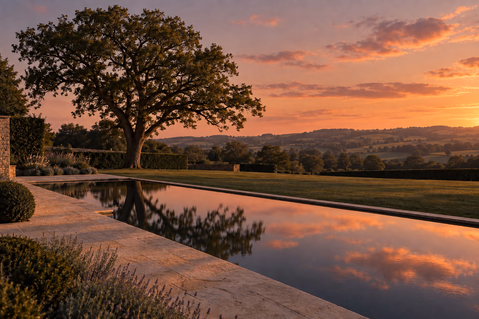 Oak garden at dusk