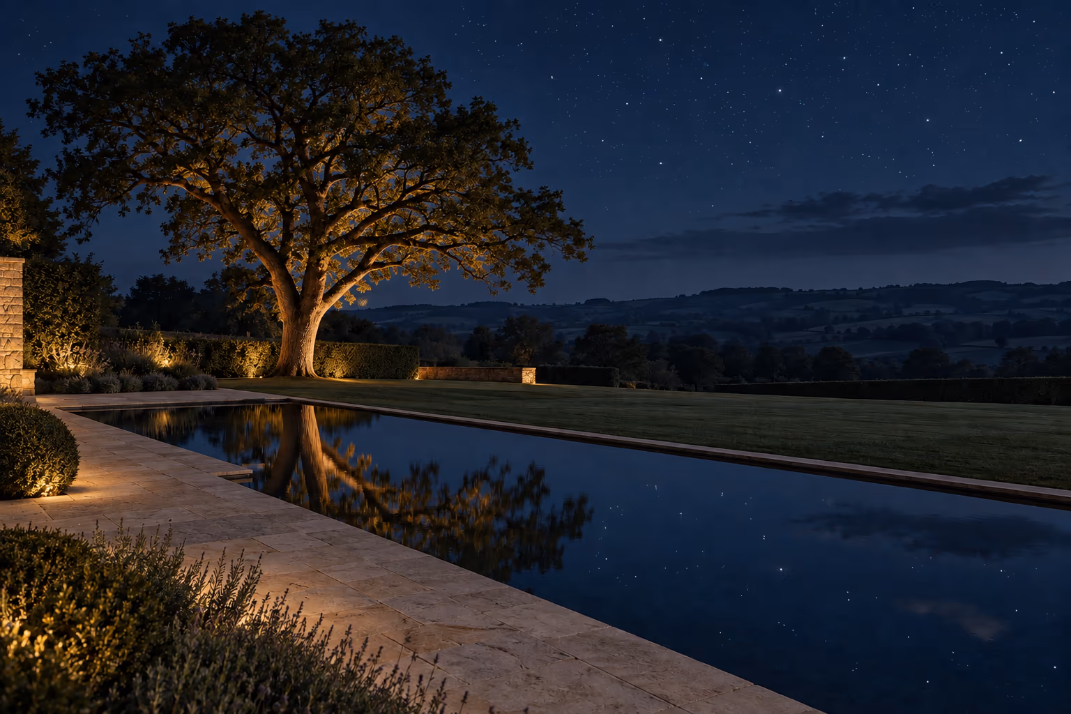 Oak garden at night